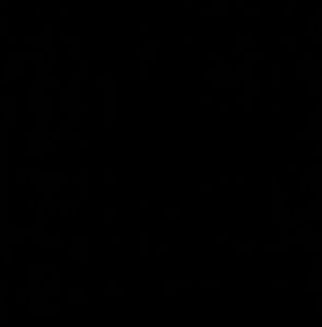 Meet your Posher, Alan